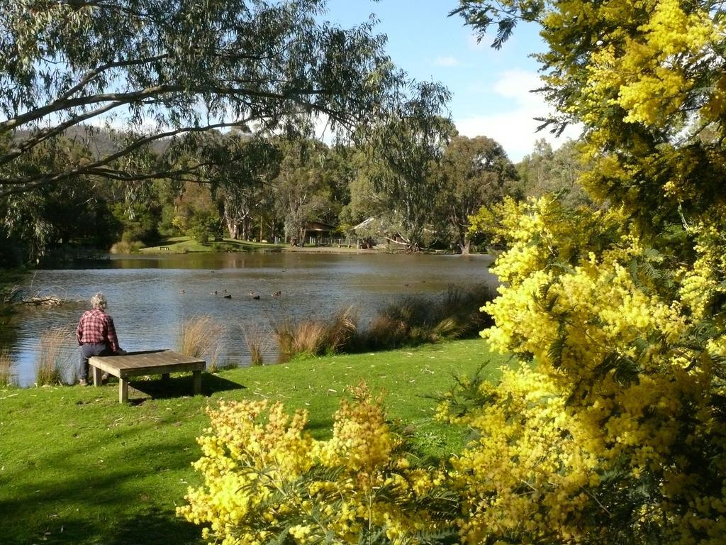 The Burrow At Wombat Bend Villa Dixons Creek Bilik gambar