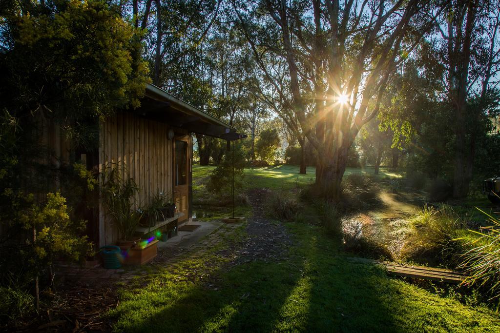 The Burrow At Wombat Bend Villa Dixons Creek Luaran gambar