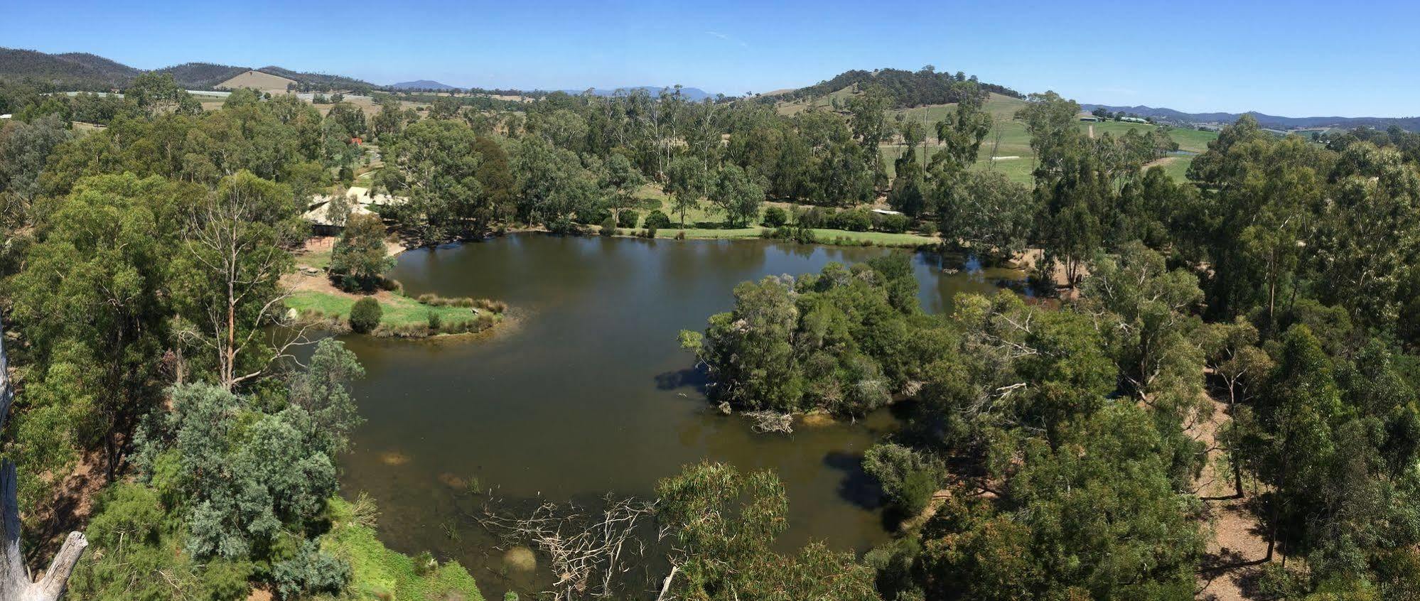 The Burrow At Wombat Bend Villa Dixons Creek Luaran gambar
