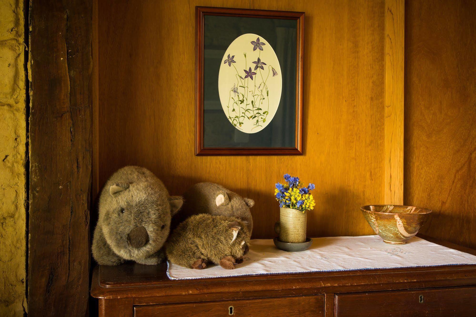 The Burrow At Wombat Bend Villa Dixons Creek Luaran gambar