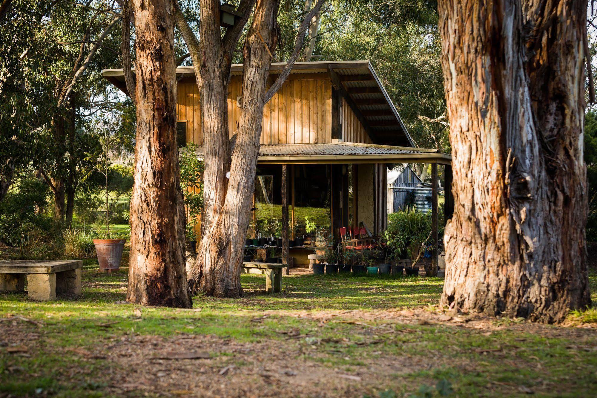 The Burrow At Wombat Bend Villa Dixons Creek Luaran gambar