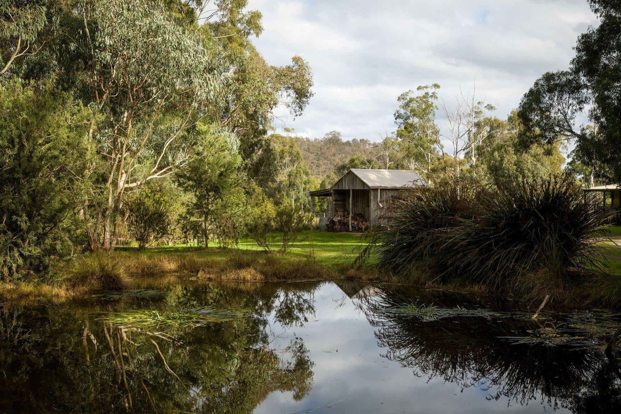The Burrow At Wombat Bend Villa Dixons Creek Luaran gambar