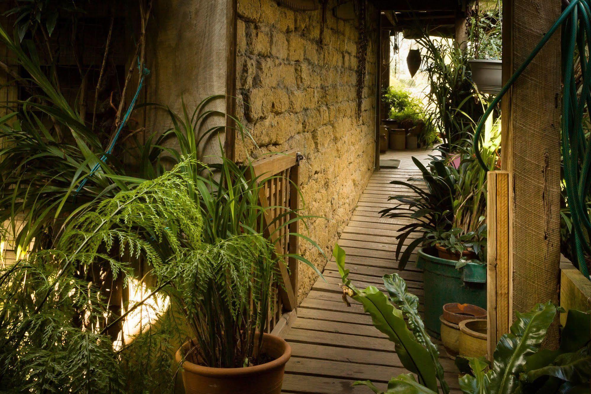 The Burrow At Wombat Bend Villa Dixons Creek Luaran gambar