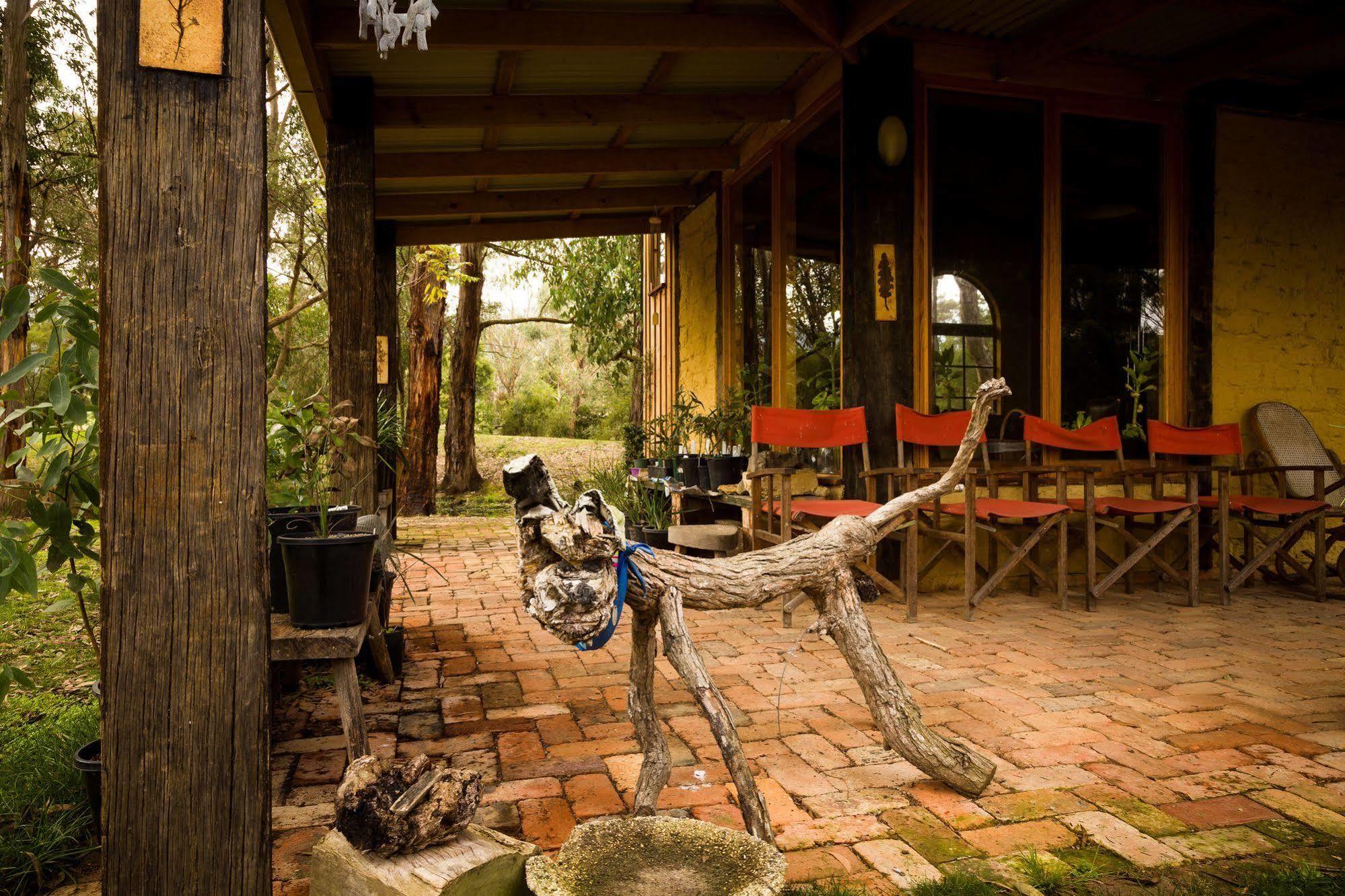 The Burrow At Wombat Bend Villa Dixons Creek Luaran gambar