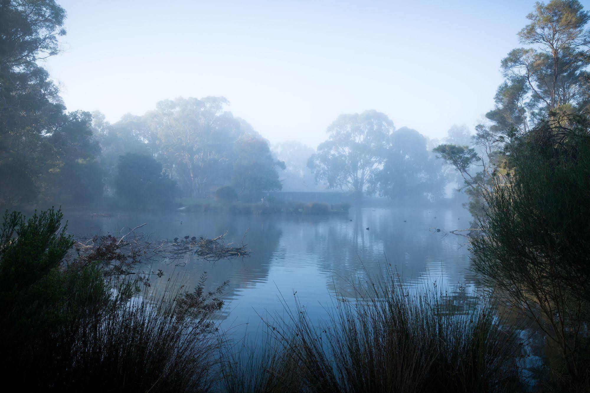 The Burrow At Wombat Bend Villa Dixons Creek Luaran gambar