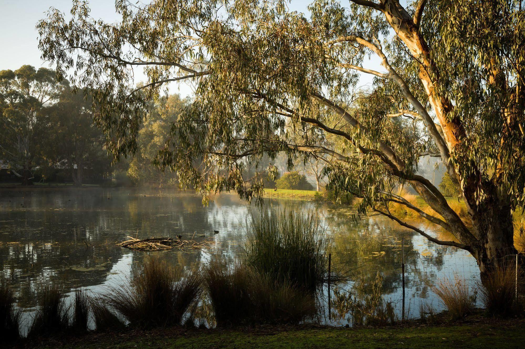 The Burrow At Wombat Bend Villa Dixons Creek Luaran gambar